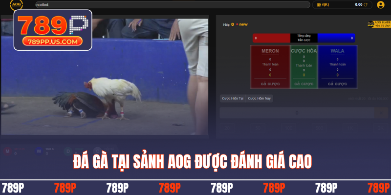 Đá gà tại sảnh AOG được đánh giá cao