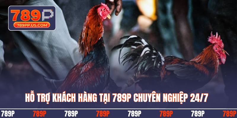 Hỗ trợ khách hàng tại 789P chuyên nghiệp 24/7